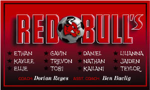 redbulls