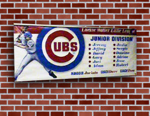 banners/thediamondbacks.jpg