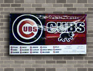 banners/thediamondbacks.jpg