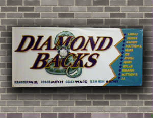 banners/thediamondbacks.jpg