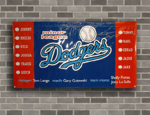banners/theminorlgdodgers.jpg