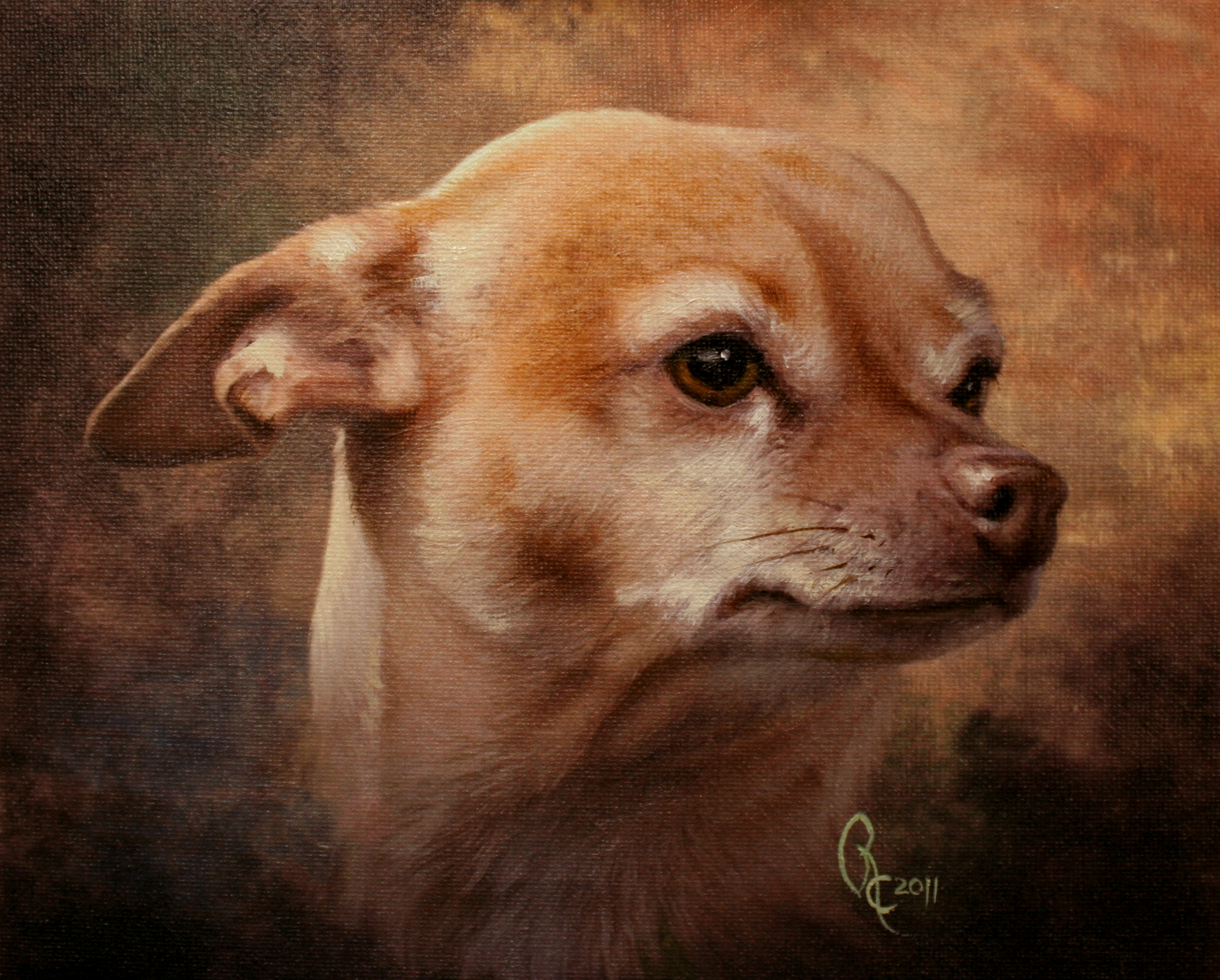 rudy.jpg